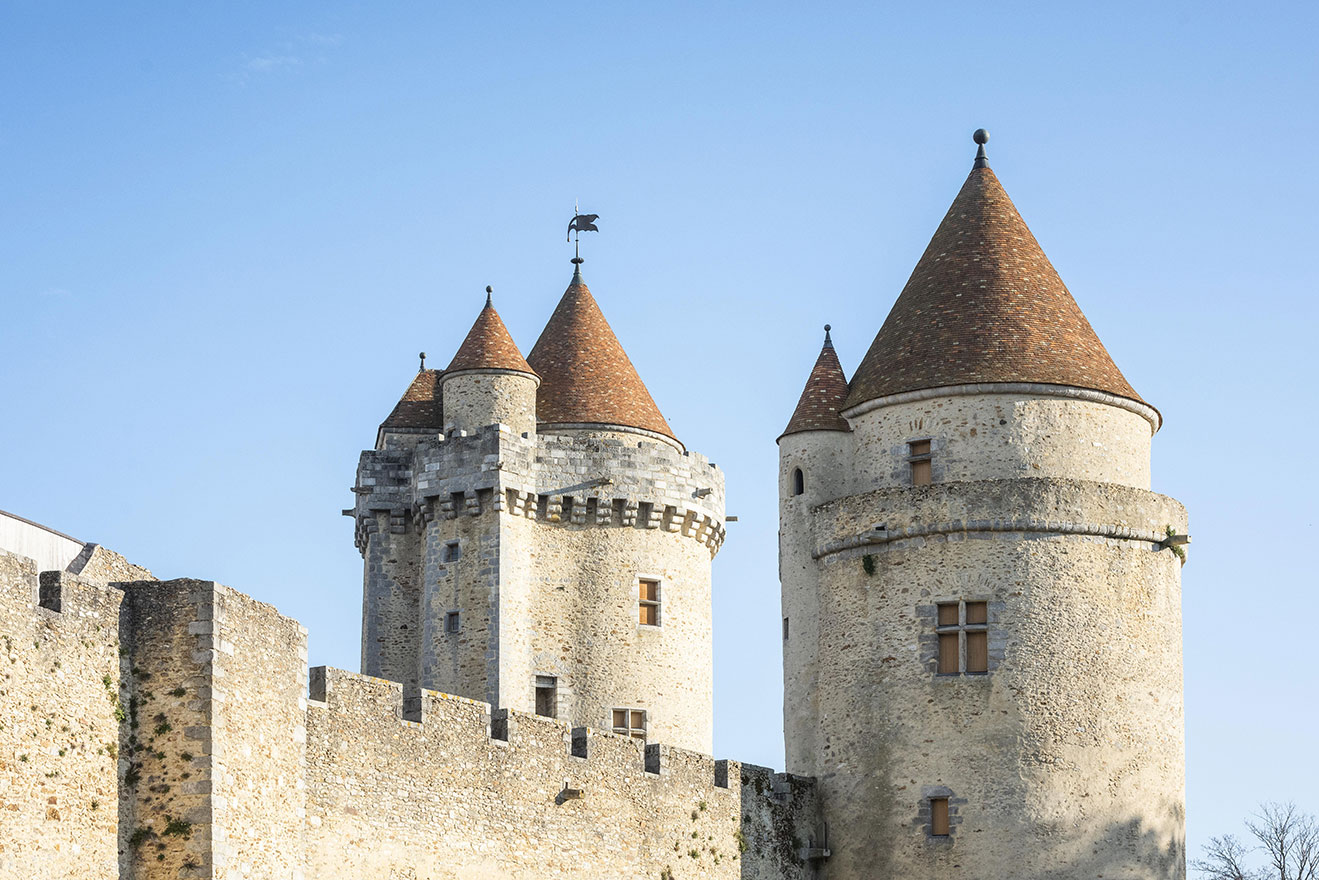 Chateau Blandy Les Tours Seine et Marne©SMA cbadet