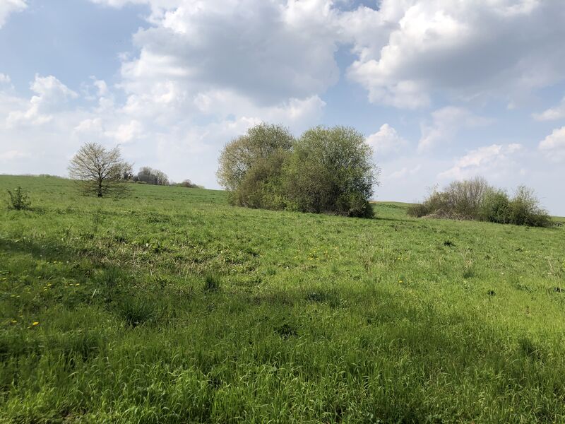 Sur les traces du moulin et des vignes