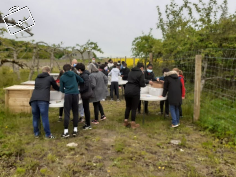 Activité - Le compost et les déchets