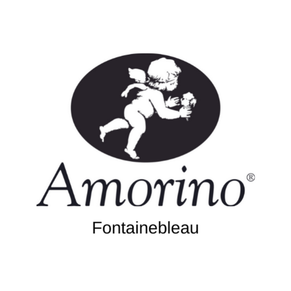 Amorino Artisanal ice cream maker
