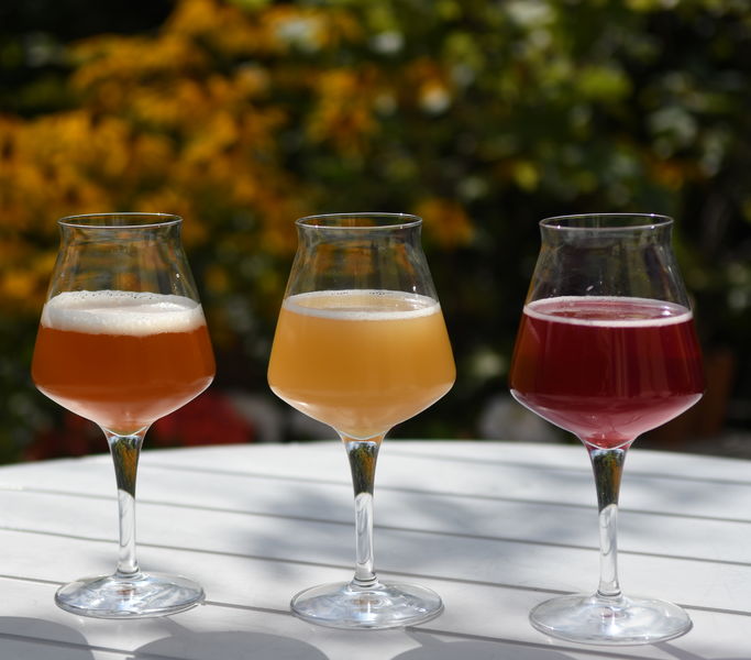 Reboot Microbrasserie