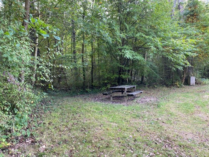 Activité ludique et pédagogique découverte de la nature aux Bordes Chalonges