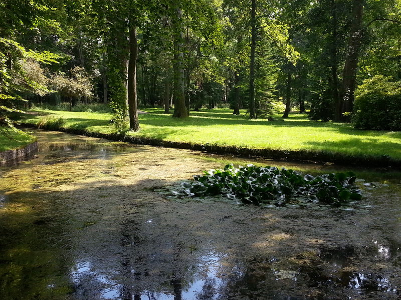 Parc Debreuil