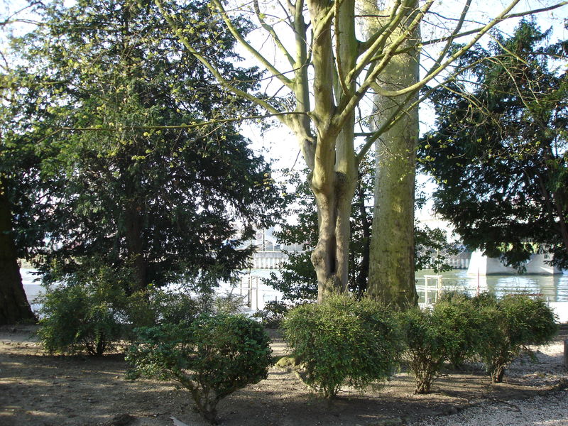 Le Jardin Botanique