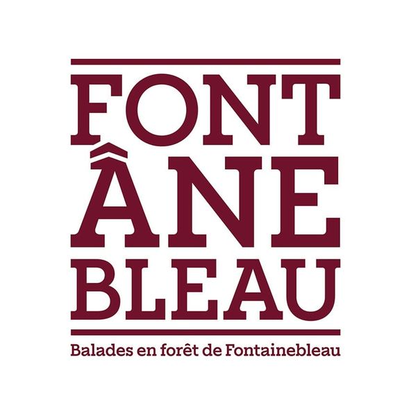 Fontânebleau: promenades accompagnées par des ânes en Forêt de Fontainebleau