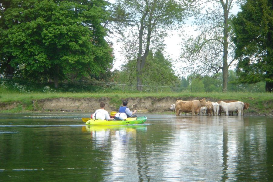 Canoë en Seine-et-Marne