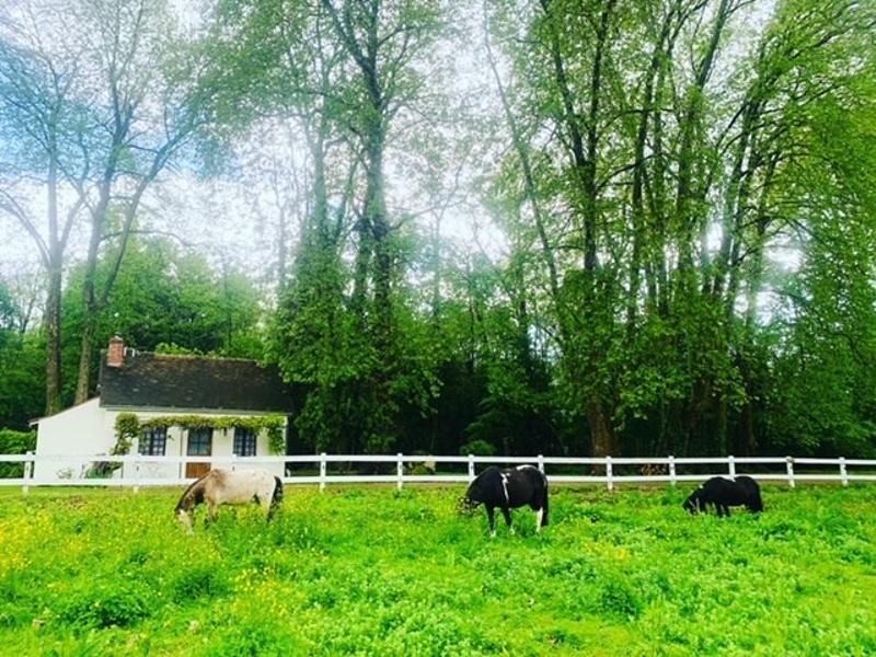 Gîte O'Lunain **