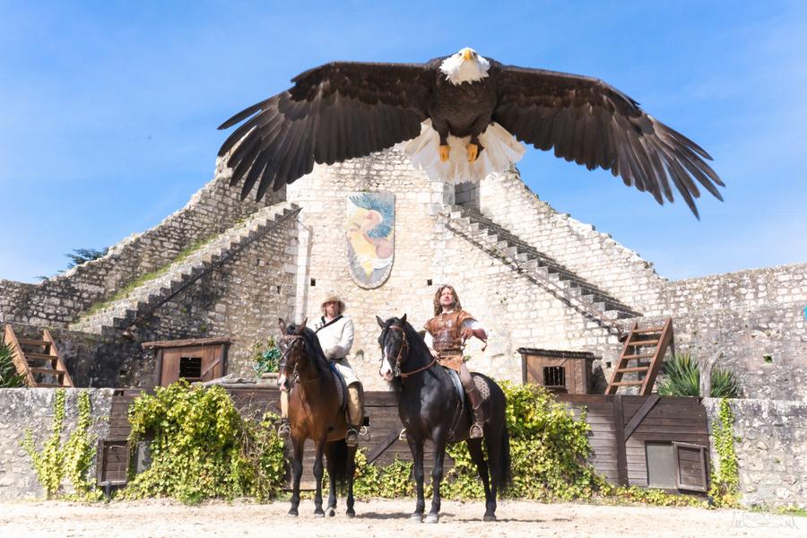 Les Aigles des Remparts