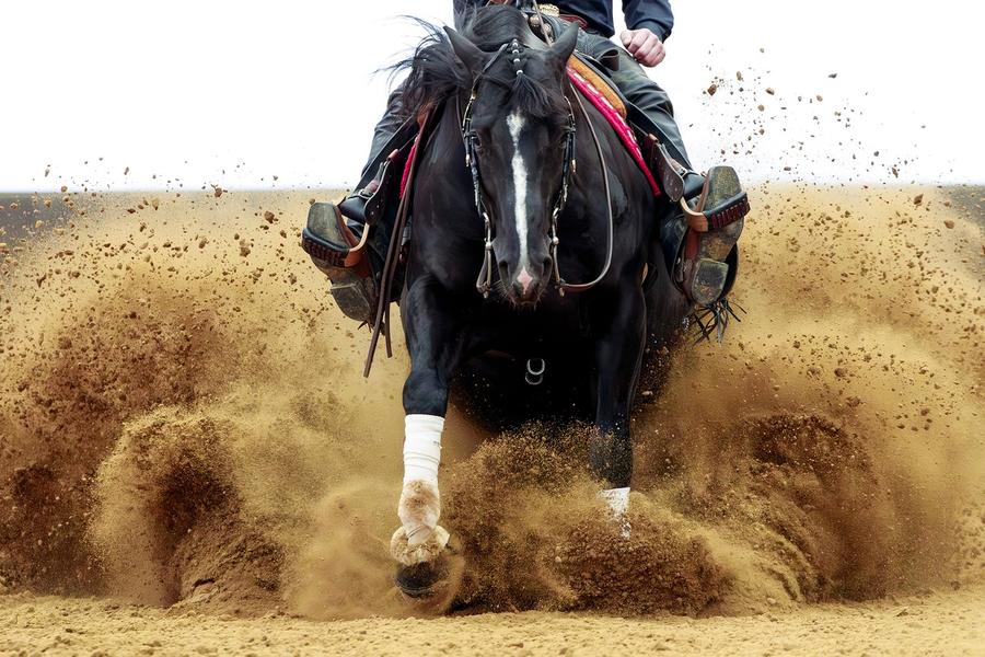 Bo Ranch Derby Maturity  compétition de Reining