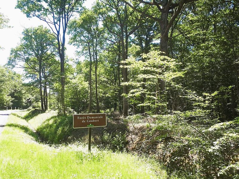 Forêt domaniale de Coubert