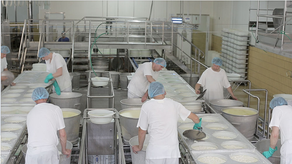 Saint-Faron Cheese Dairy