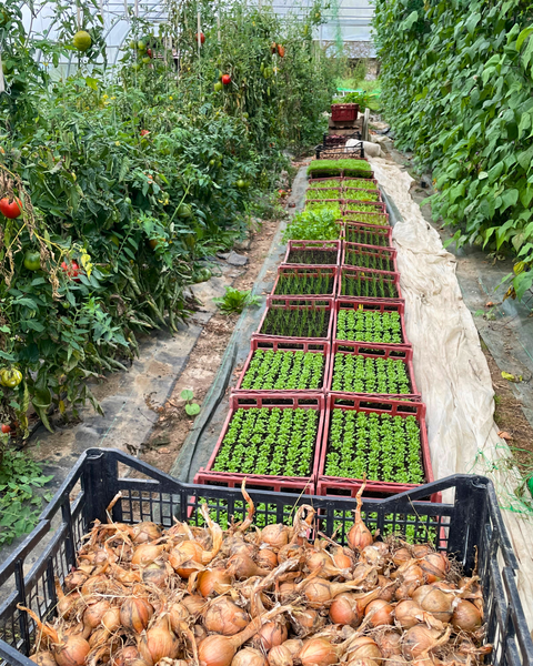 Le Potager des Mirats