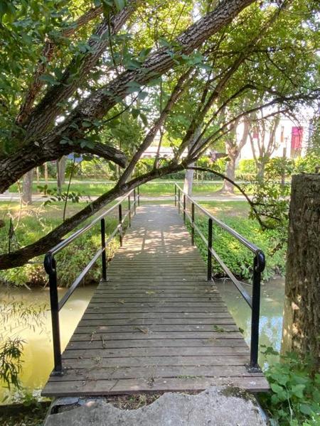 La Passerelle de Crécy