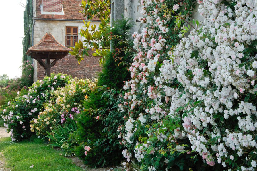 Jardin pépinière Le Point du Jour