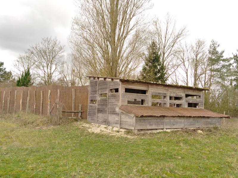Permanence à l'observatoire du Bois Prieux - Sortie nature