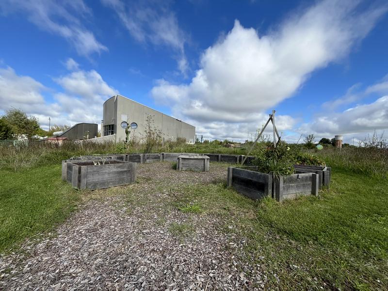 Cours - les bases du jardinage écologique et naturel