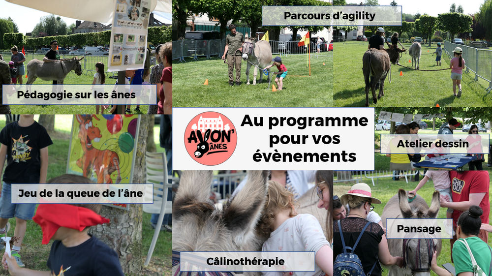 Avon'ânes : randonnées au pas de l'âne