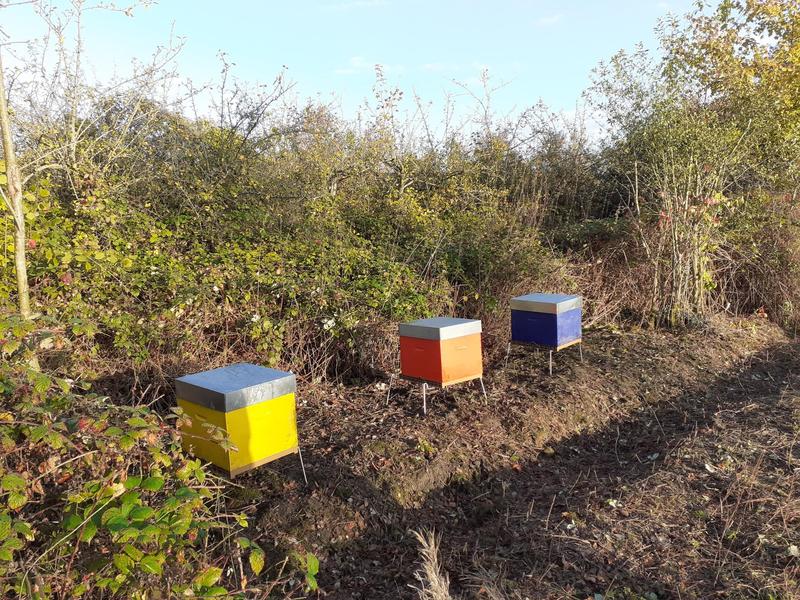 Atelier - Découverte de l'apiculture à la Maison de la Nature