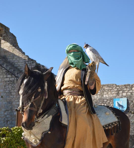 Les Aigles des Remparts
