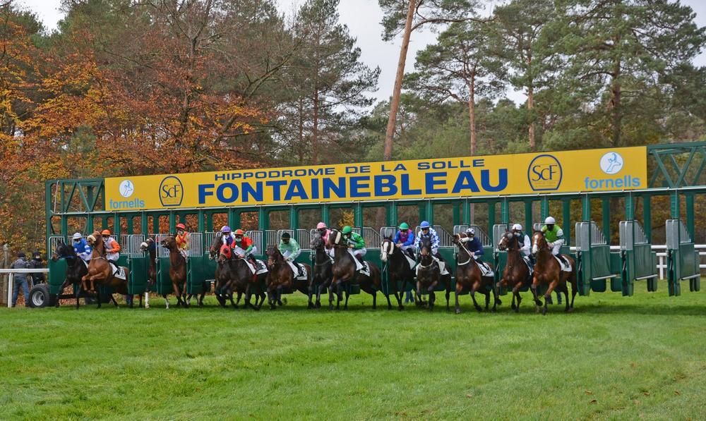 Journée portes ouvertes à l'Hippodrome de la Solle