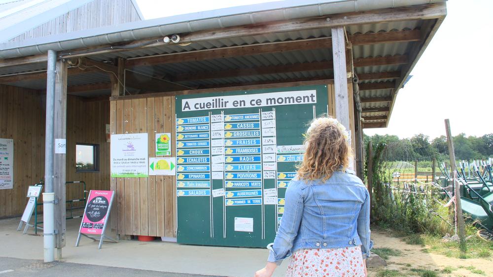 Rando gourmande en Marne & Gondoire