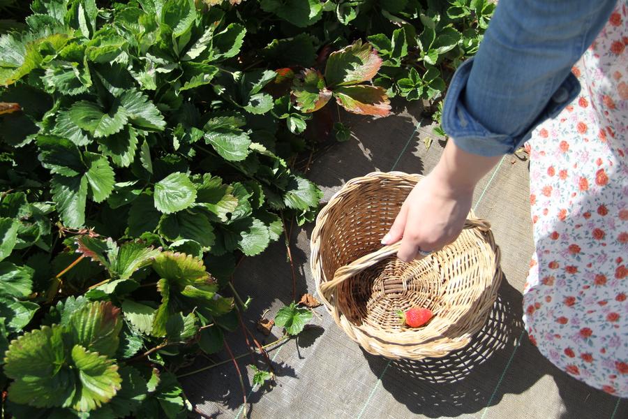 Rando gourmande en Marne & Gondoire