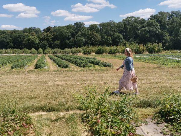 Rando gourmande en Marne & Gondoire