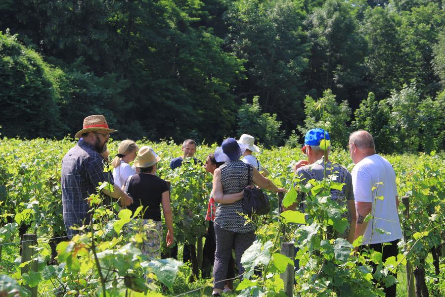 Rando gourmande en Marne & Gondoire
