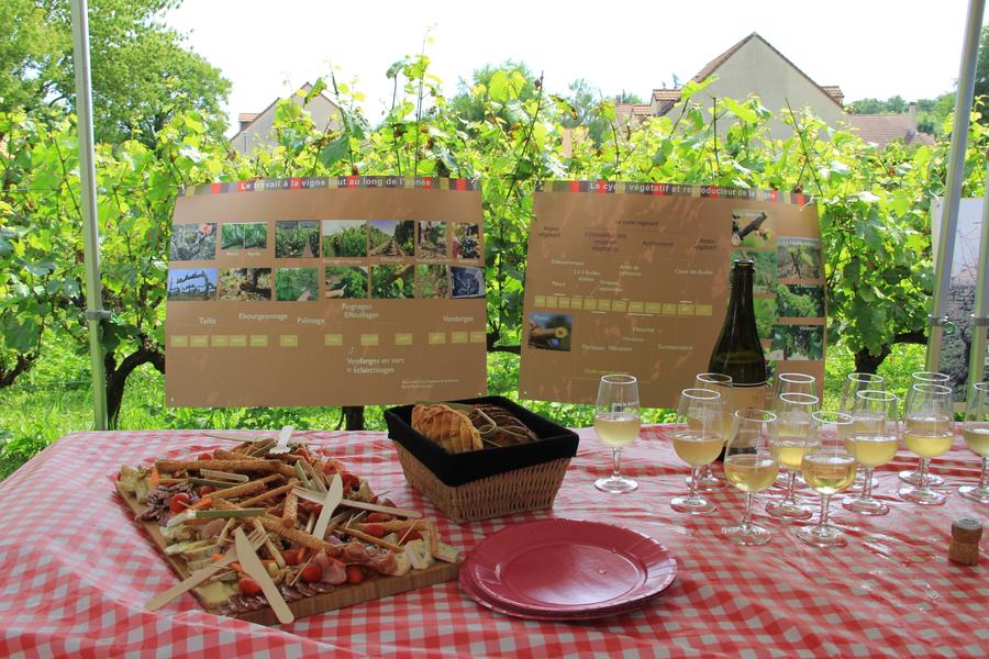 Rando gourmande en Marne & Gondoire