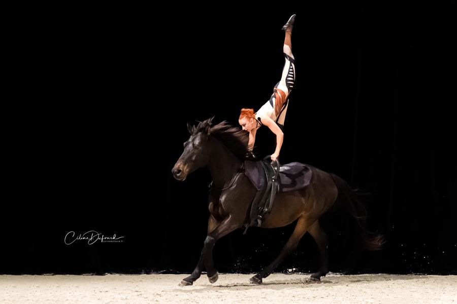 Spectacle équestre avec la Compagnie Orstella - Annulé