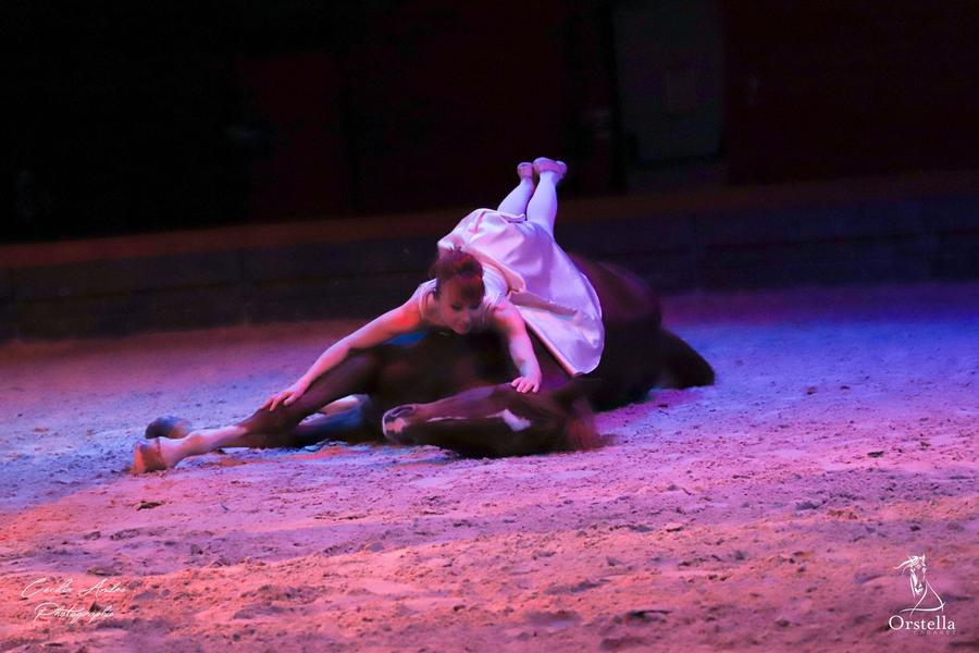 Spectacle équestre avec la Compagnie Orstella - Annulé