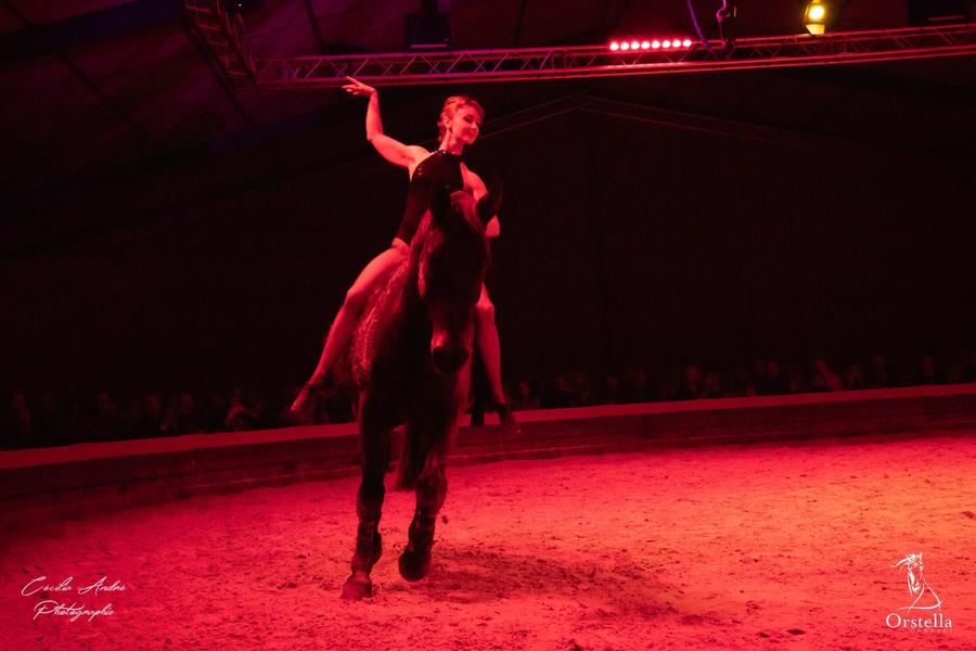 Spectacle équestre avec la Compagnie Orstella - Annulé