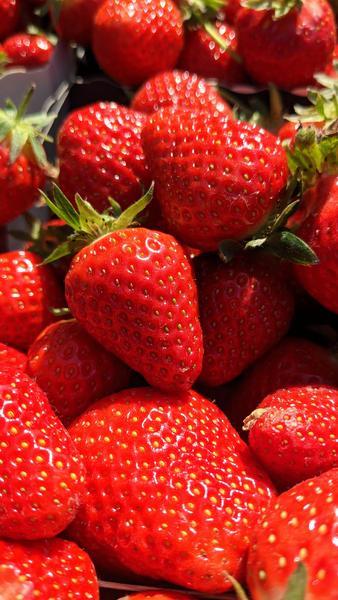 Fête de la fraise