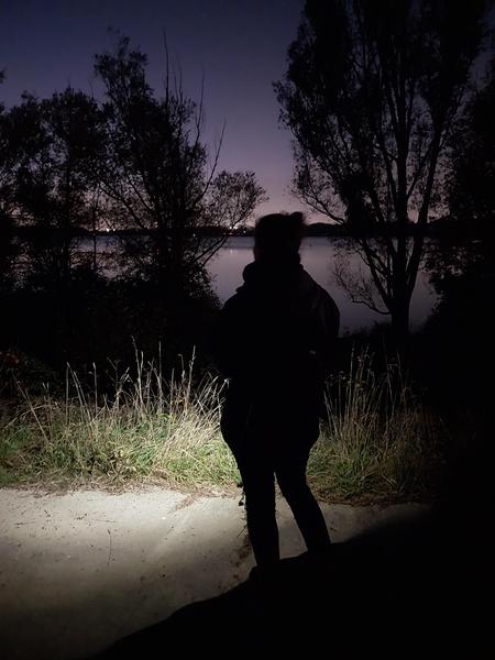 Nuit des forêts - À la découverte des chauves-souris