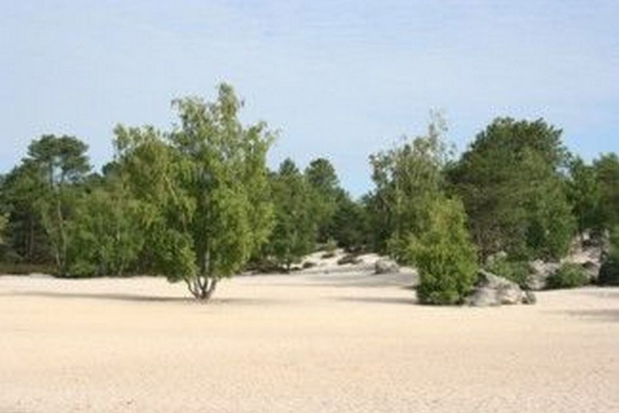Les sables du Massif des Trois Pignons