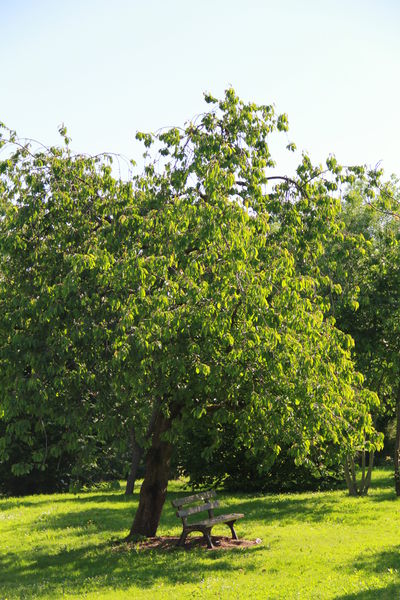 Parc du Mont Evrin