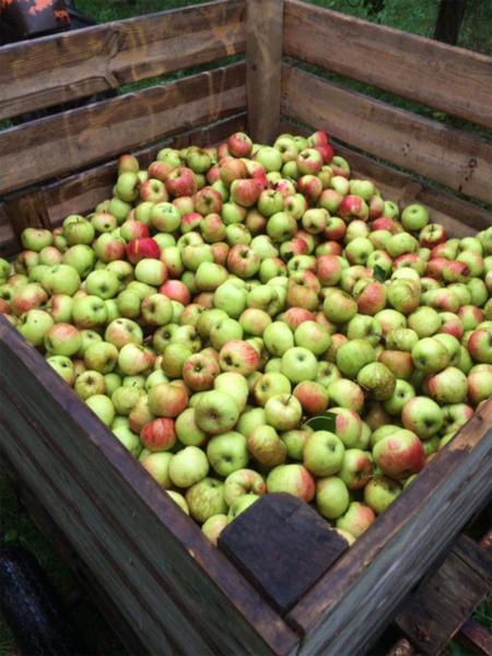 The farm of abundance