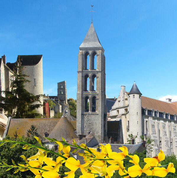 Visite commentée de la Cité médiévale