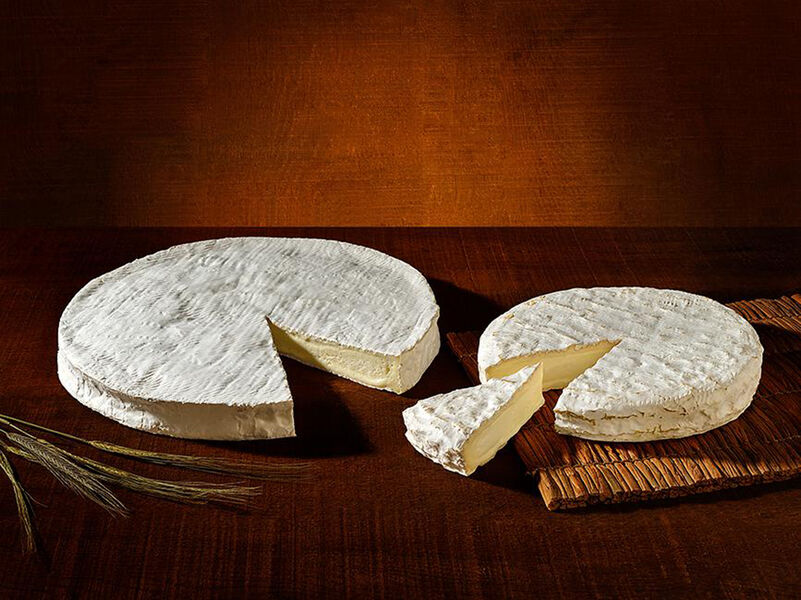 Guided tours of the Meaux Saint Faron cheese dairy