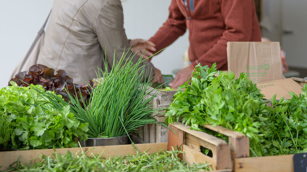 Le Village Potager