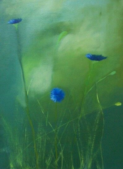 Laurence Dubarry