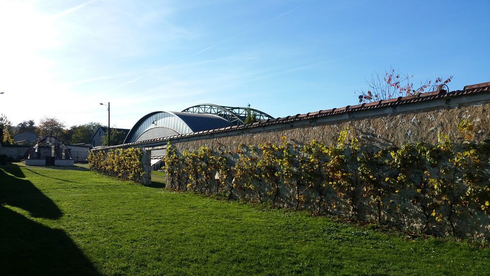 Les serres du jardin Salomon