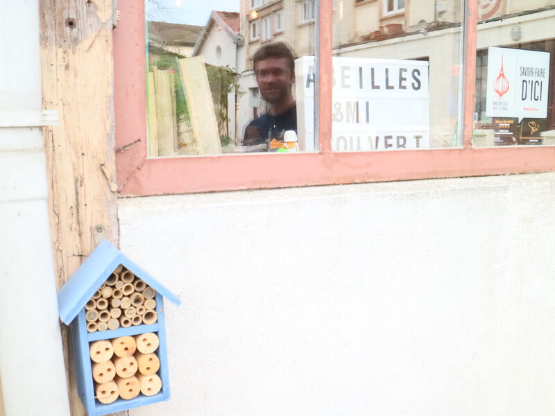 Dégustation de miel et ouverture de la miellerie Abeilles & Miel