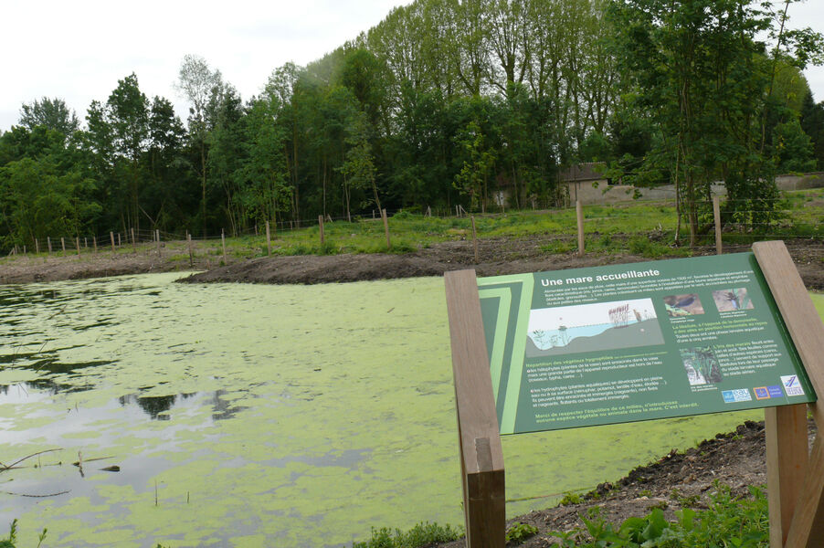 Circuit le marais de Cercanceaux