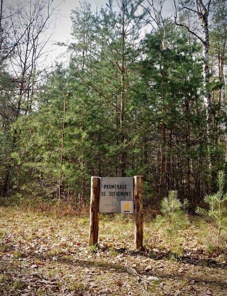 Sucremont trail
