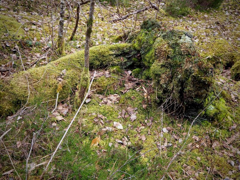 Sucremont trail