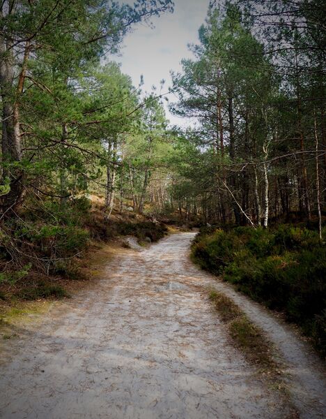 Sucremont trail
