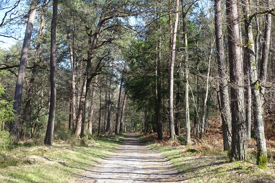 Circuit VTT des Grands Feuillards