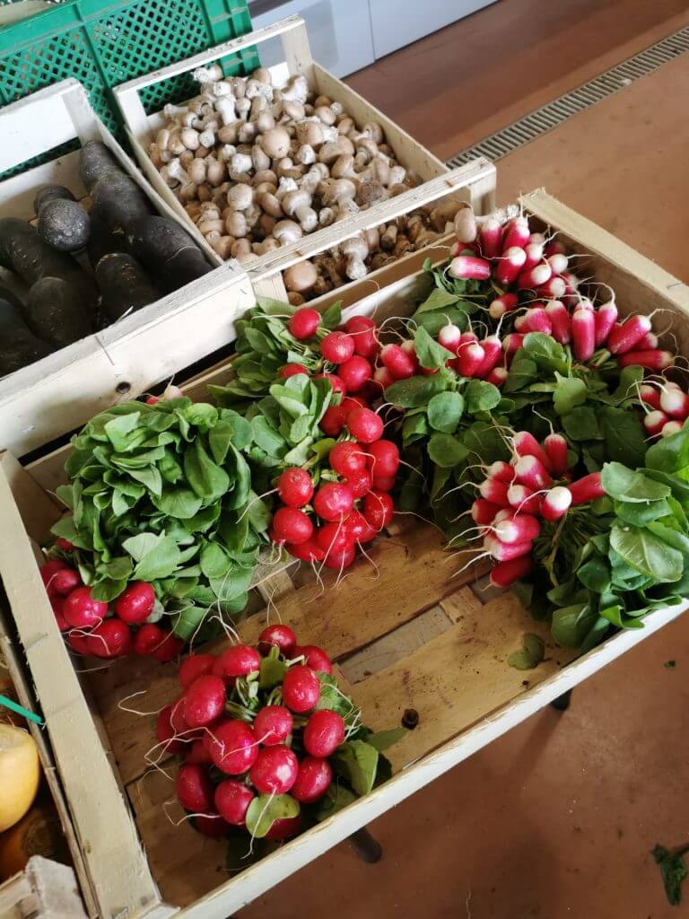 cagette tomate