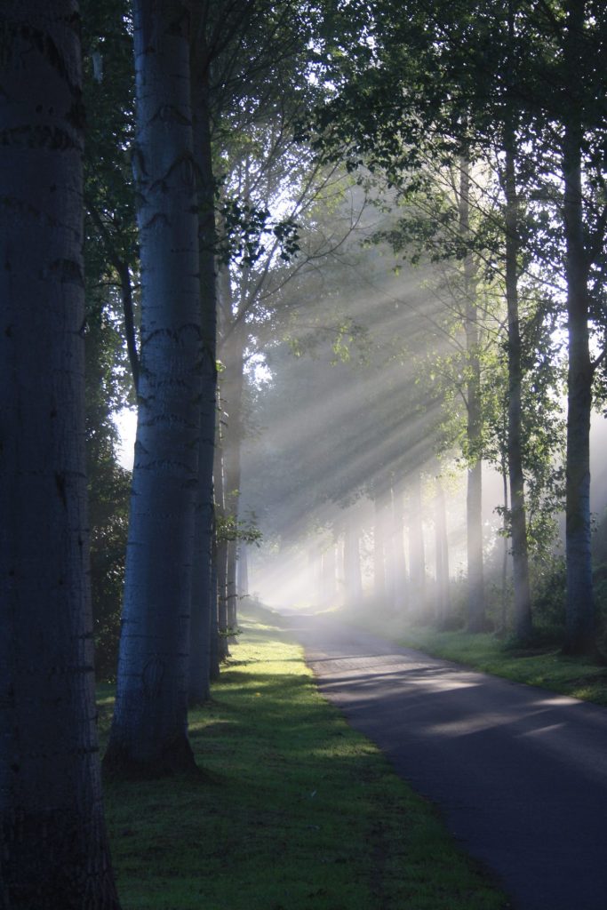 foret vendrest seine et manre